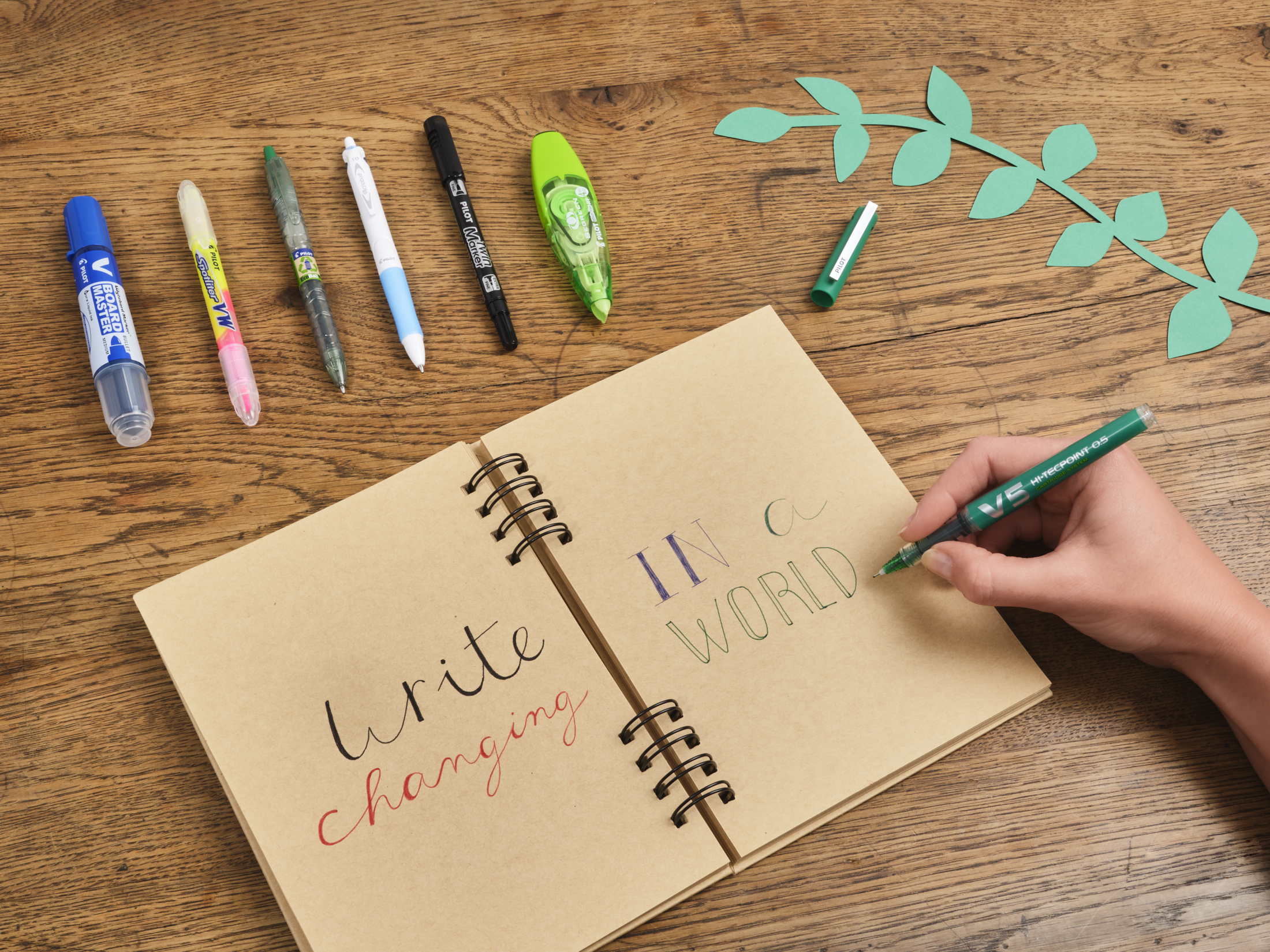 Bottle 2 Pen Ecoball